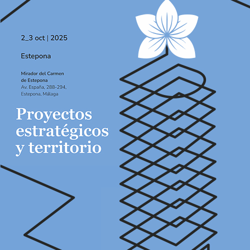 Proyectos estratégicos y territorio Estepona 2025 - DAXXI
